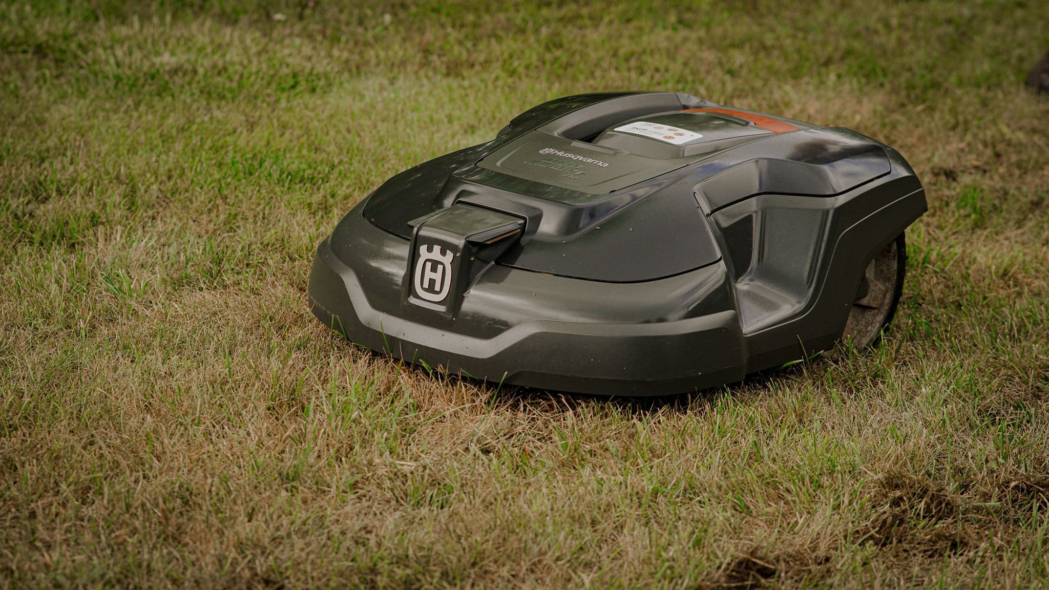 Mähroboter auf Rasen